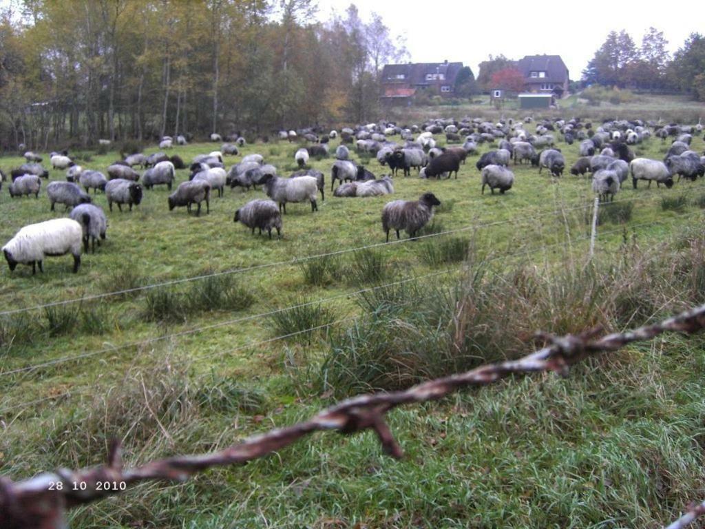 Ferienhaus Huus Ton Witten Barg Ундело Екстериор снимка